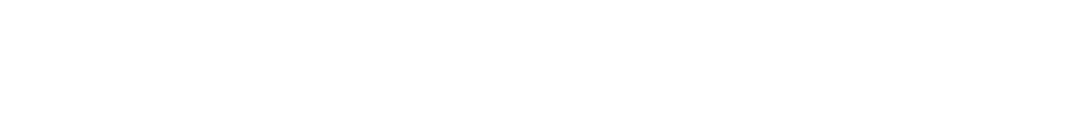 PLZ INNOVATIVE — Soluzioni IT, Intelligenza Artificiale e Software Gestionali